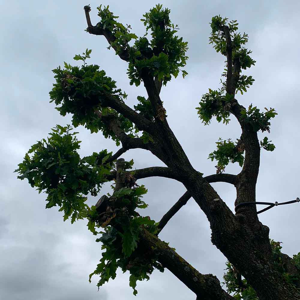 o-fil-de-l-eau-entretien-realisation-01