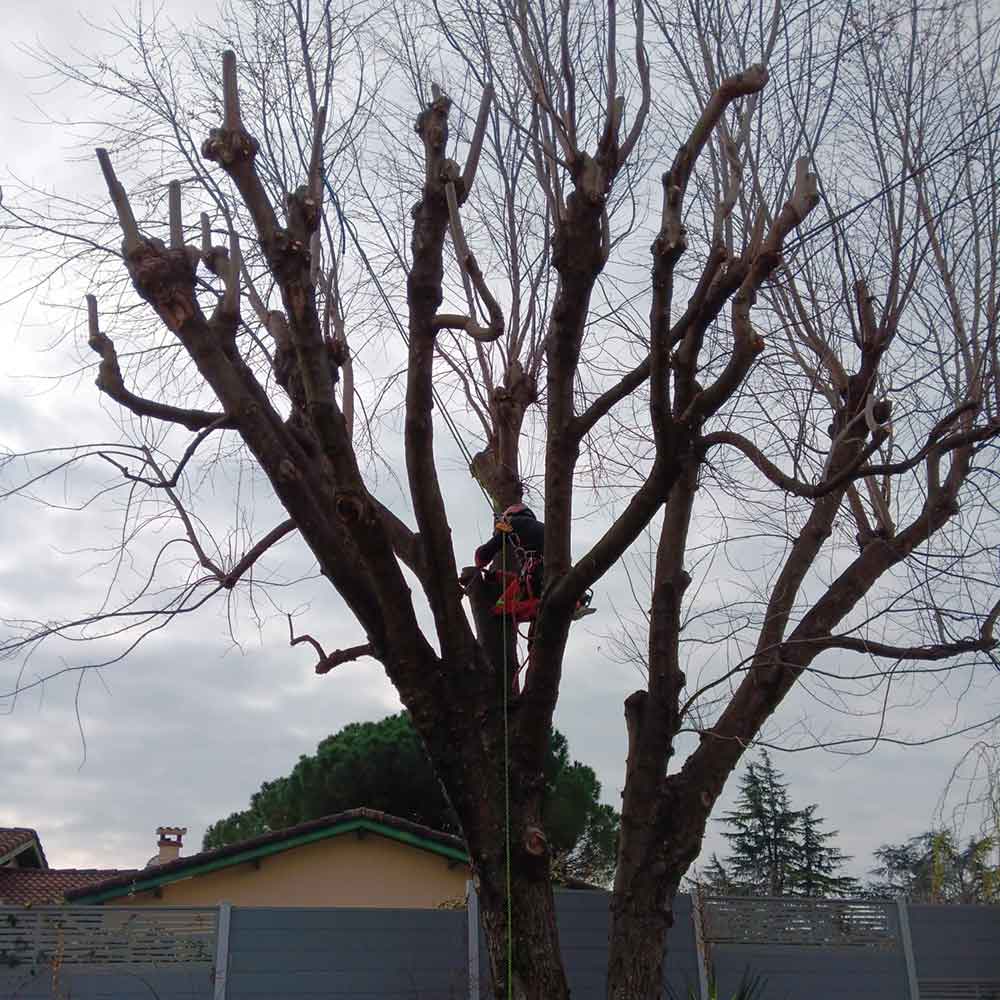 o-fil-de-l-eau-entretien-realisation-02