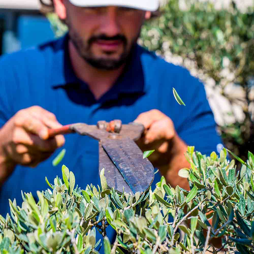 o-fil-de-l-eau-entretien-realisation-06