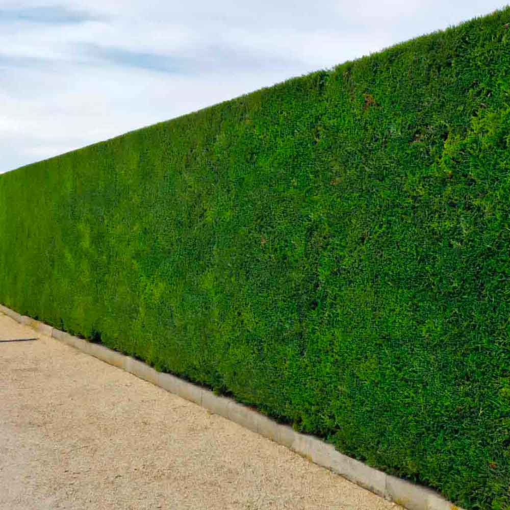 o-fil-de-l-eau-entretien-realisation-11