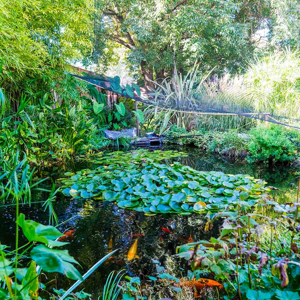 o-fil-de-l-eau-realisation-bassin-cascade-fontaine-01