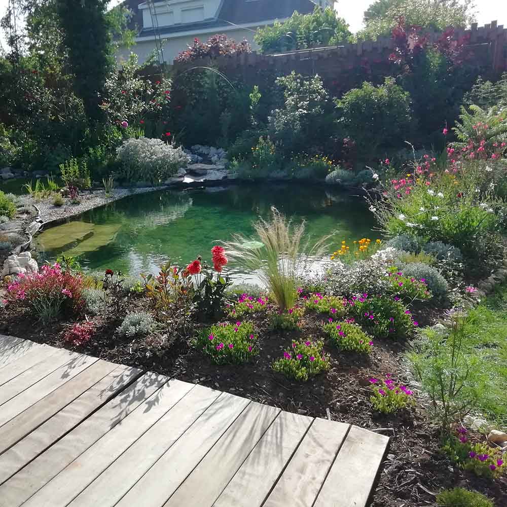 o-fil-de-l-eau-realisation-piscine-naturelle-02